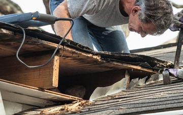 common causes of Knaves Ash fascia damage